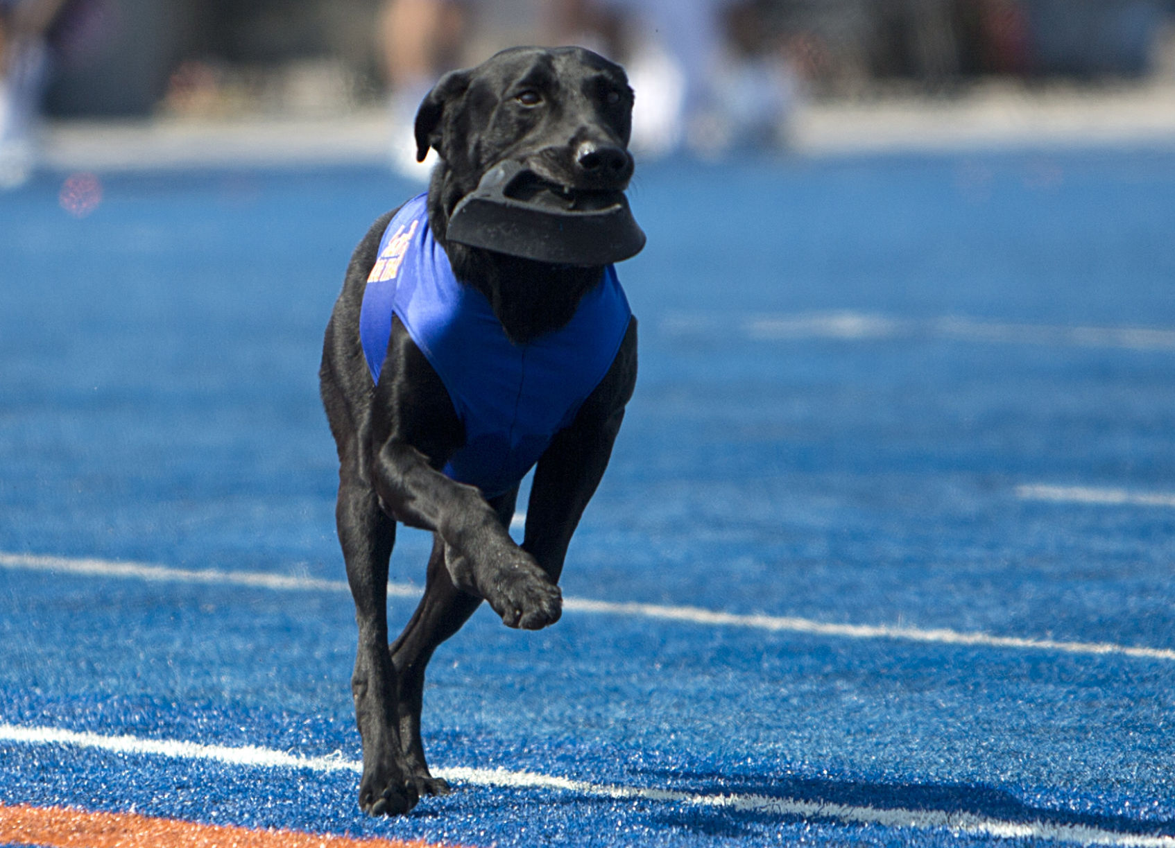 Boise State Football